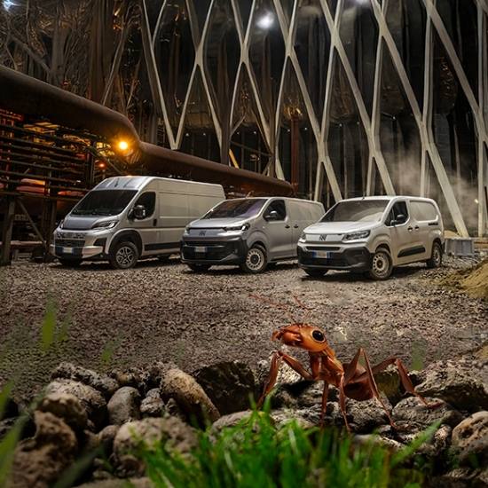 Fiat Professional Nutzfahrzeuge bei KFZ Czeitschner in Marz